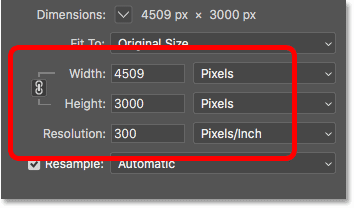 Easy Guide to Perfectly Resize Images