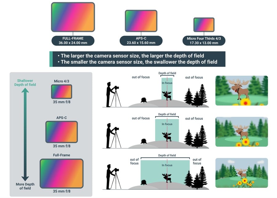 How Sensor Size Affects Low Light