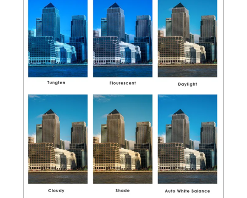 What Is White Balance and How It Creates Amazing Photography