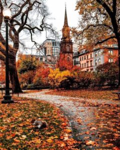 Massachusetts Photo Editingg