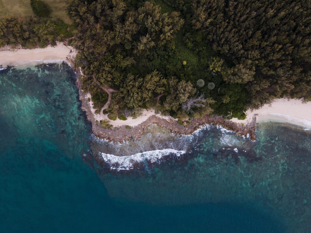 Bird's Eye Angle