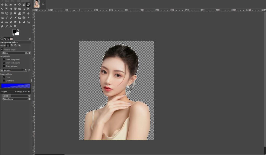 remove background in gimp using foreground select
