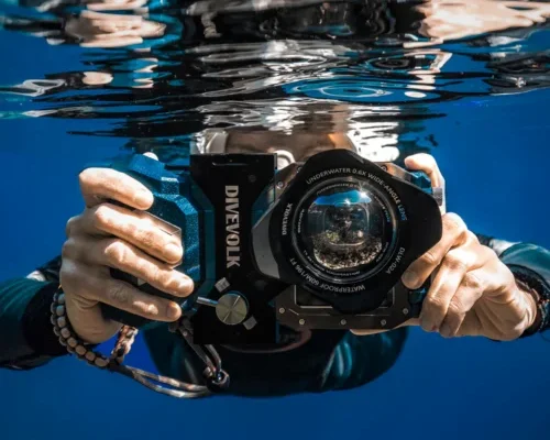 10 Best Lenses for Marine Photography