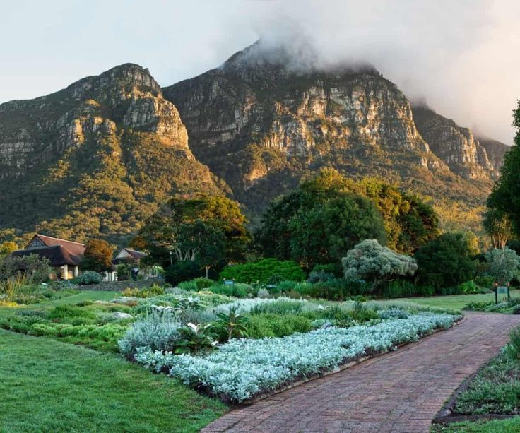 South Africa photo editing service, photo editing