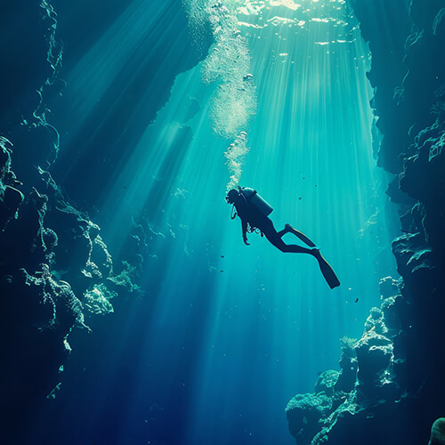 Basic underwater photography