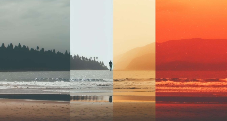 color trends, photography
