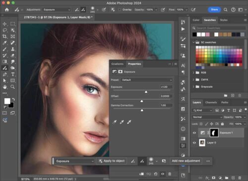 Selecting the Perfect Brush