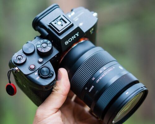 10 Best Sony Cameras to Improve Your Photography Vision