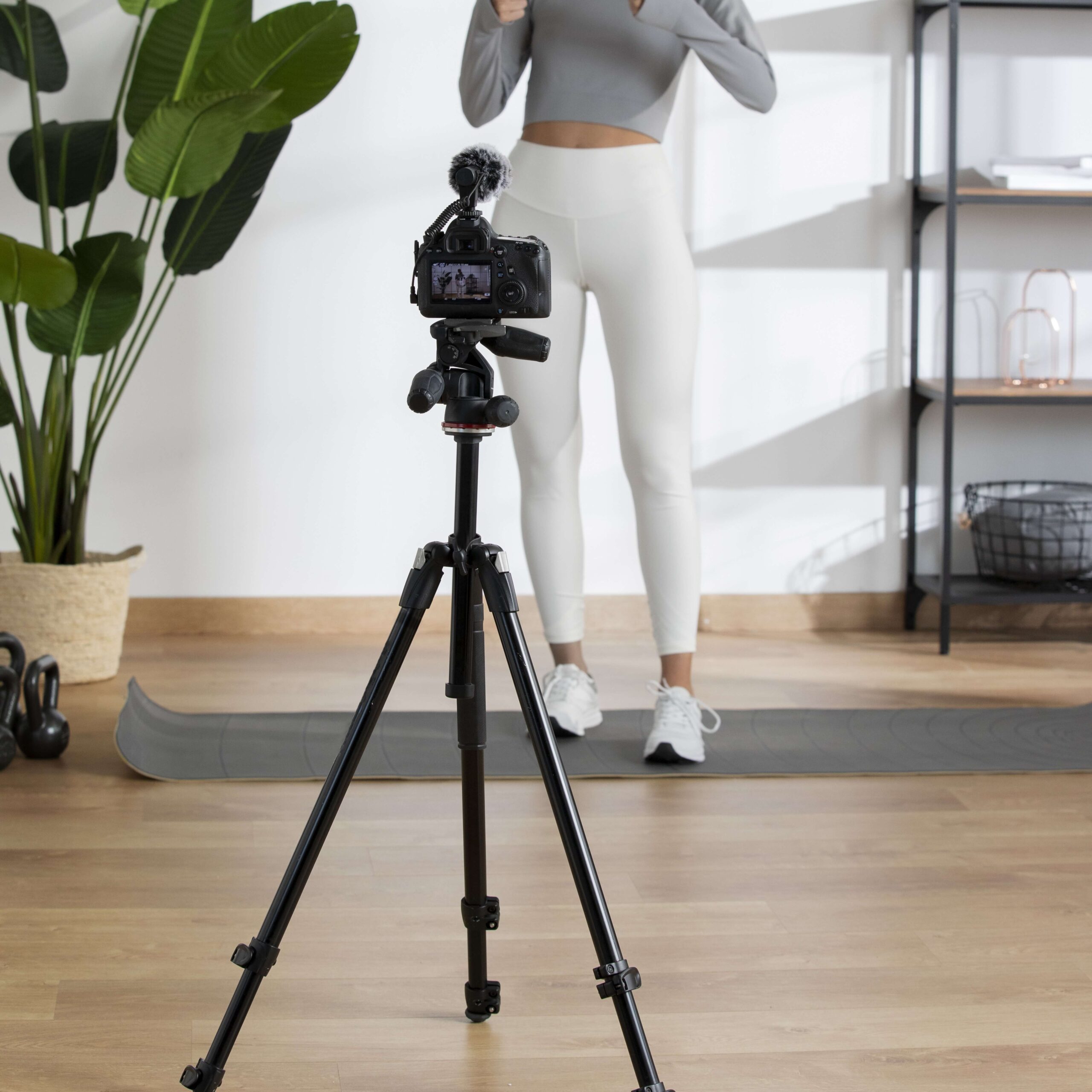 Affordable Tripods