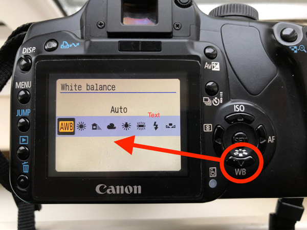 Best Camera Setting for White Balance