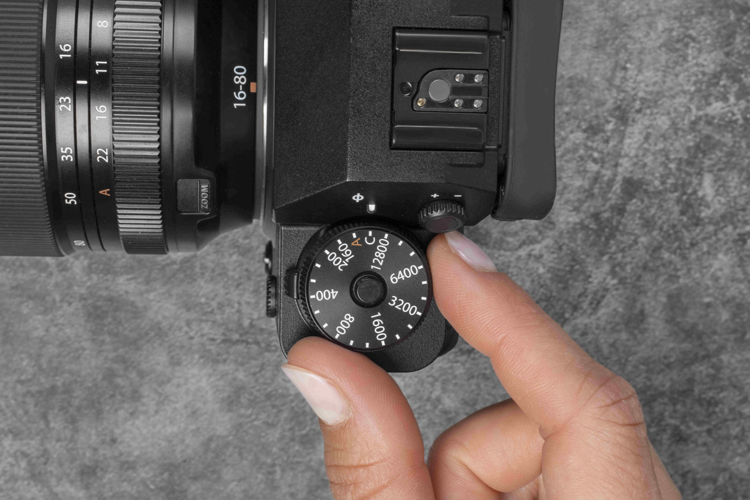 Sharp Shutter Speed