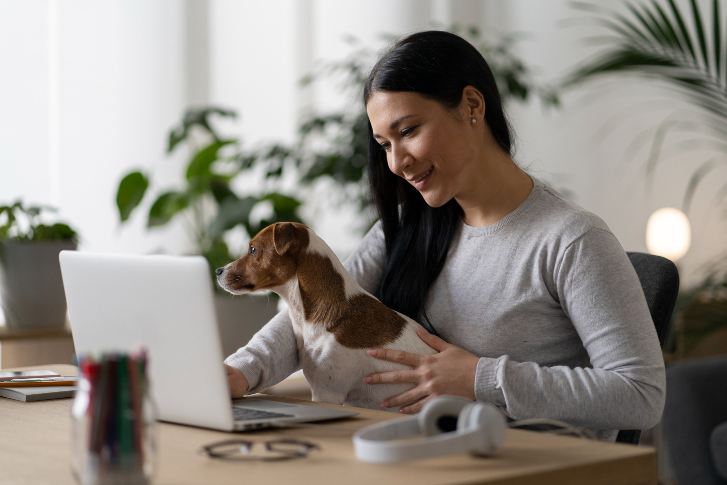 Assessing Vet Qualifications and Experience
