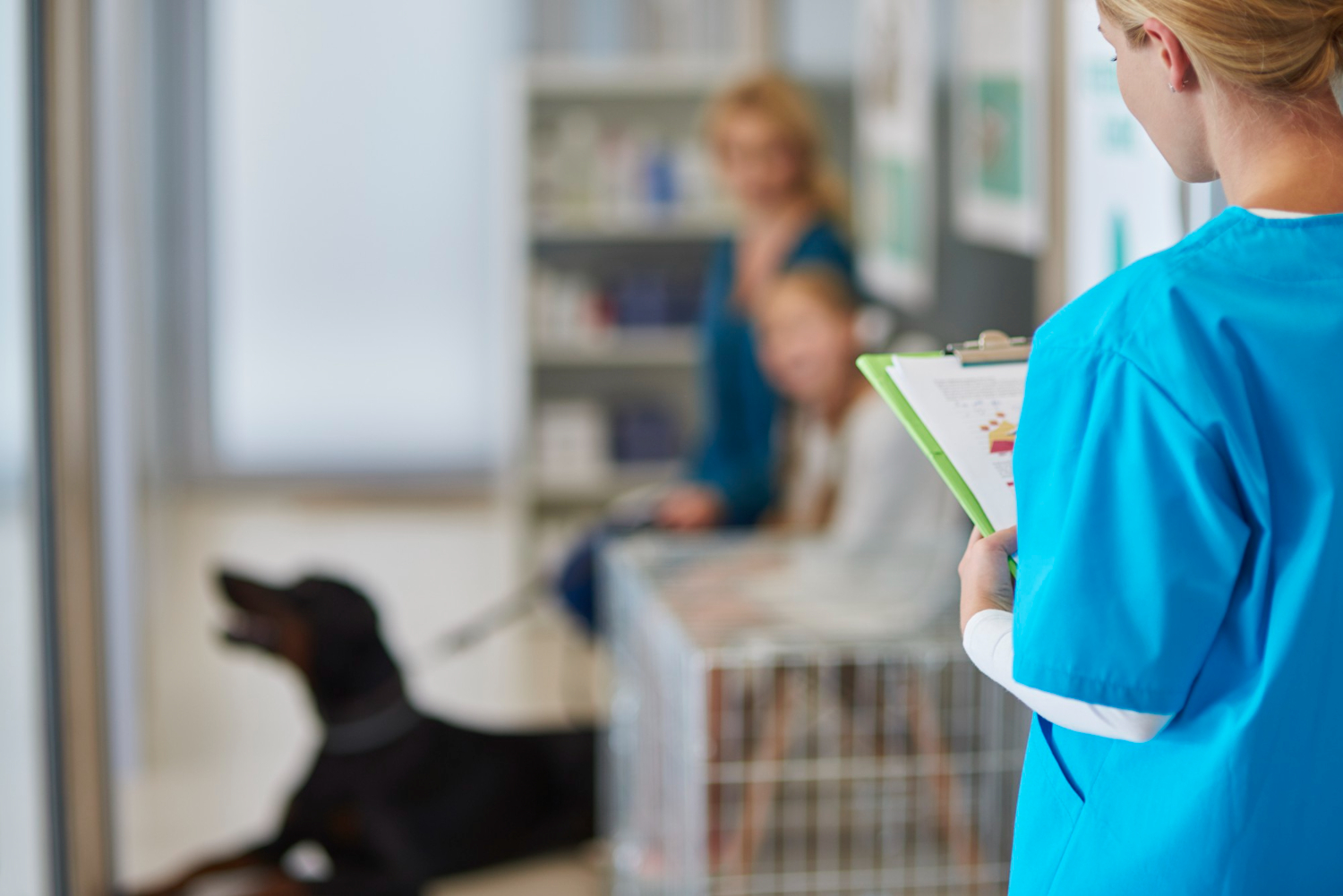 Considering Your Pet's Specific Needs