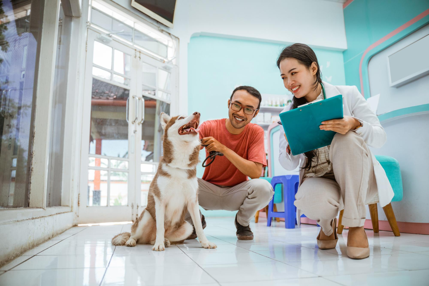 Creating a Strong Bond with Your Vet