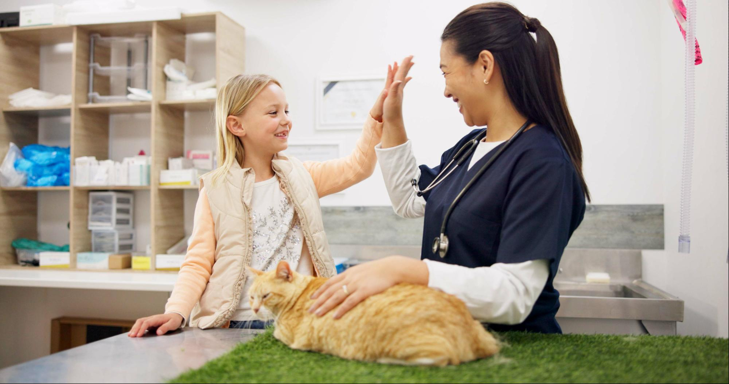 Effective Communication with Your Vet