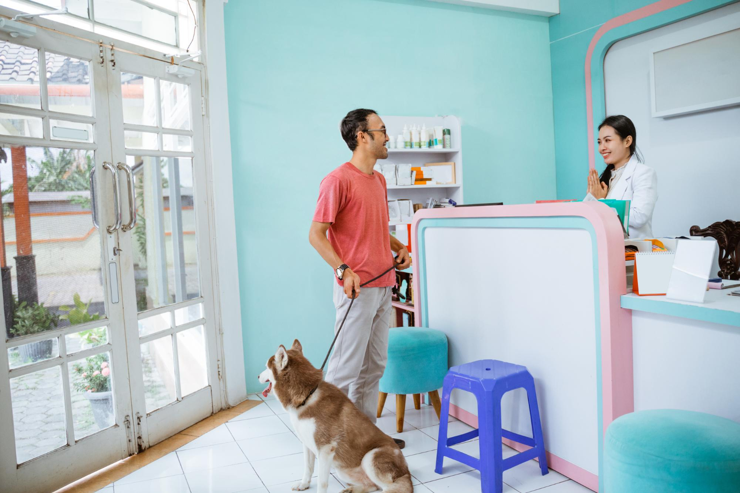 Finding the Right Local Vet Clinic