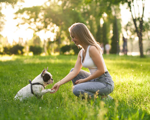 Fun and Easy Ways to Bond with Your Puppy in 2025