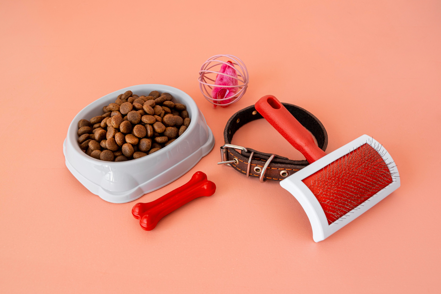 Important Items to Bring to the Vet