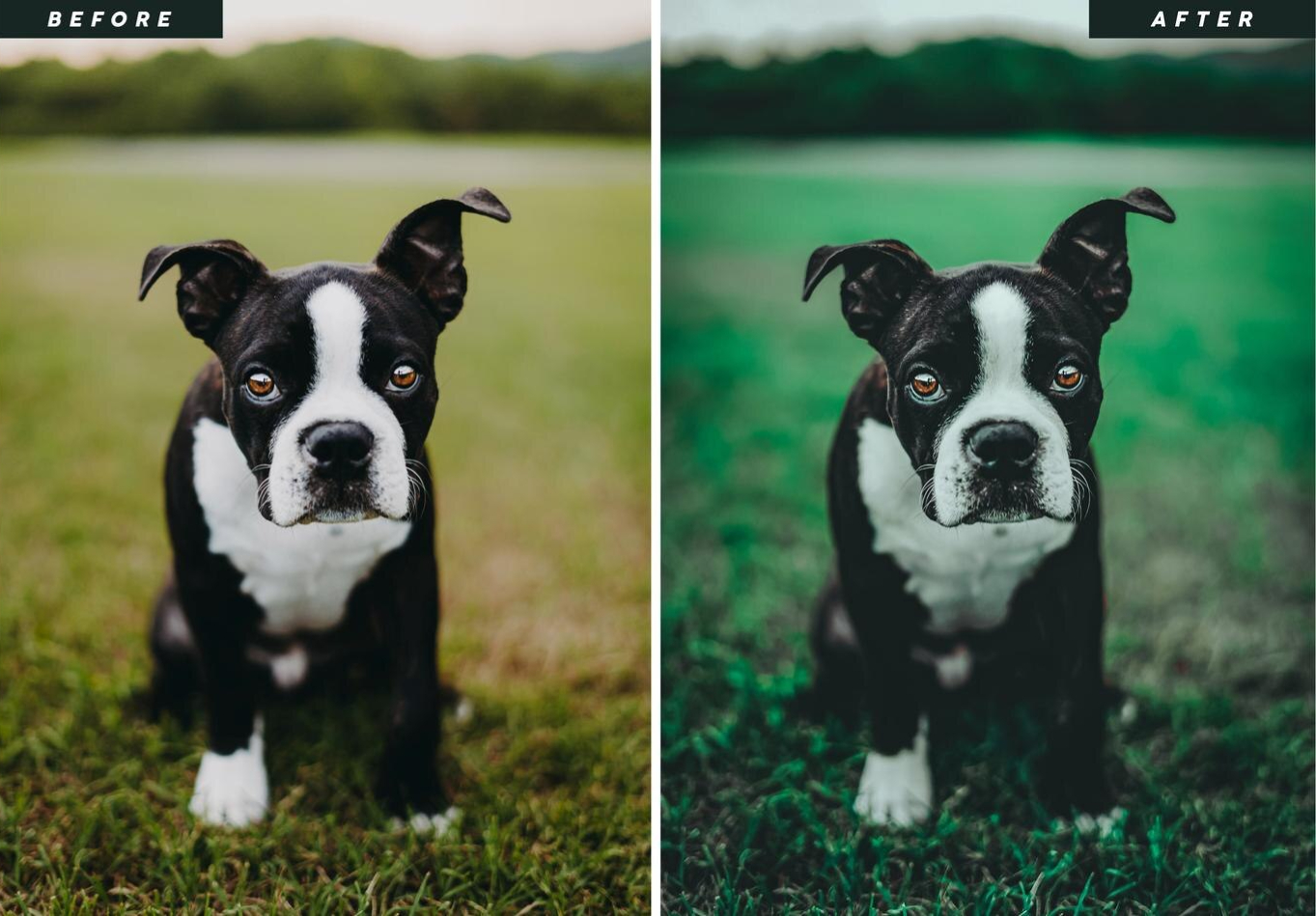editing techniques