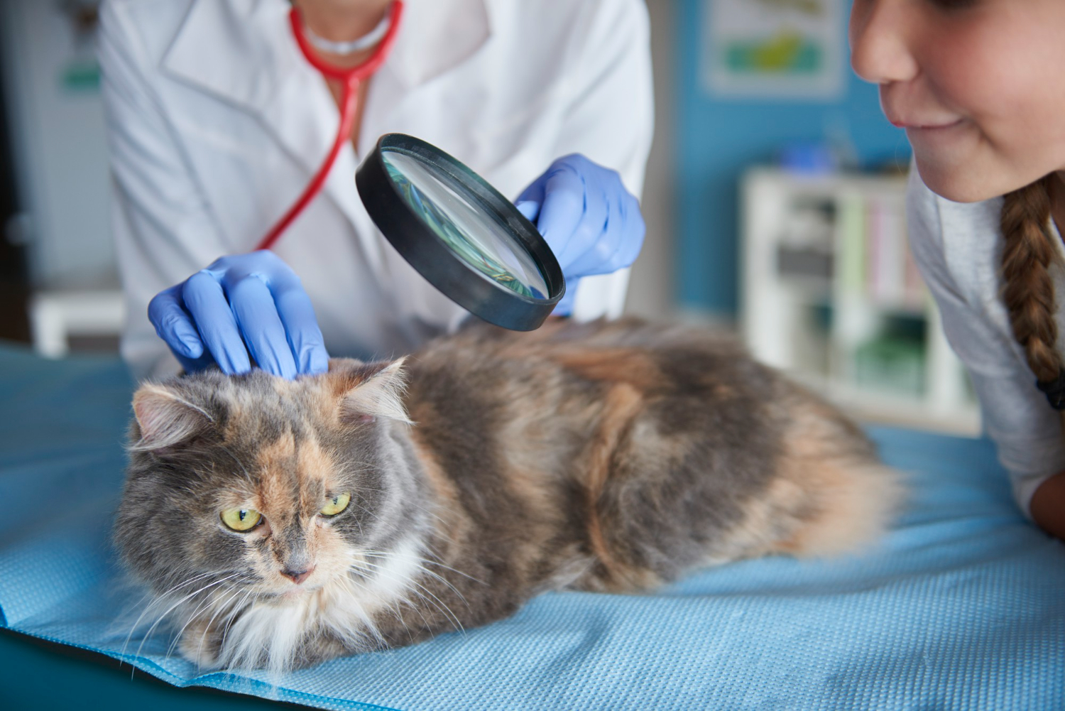 Managing Parasite Risks