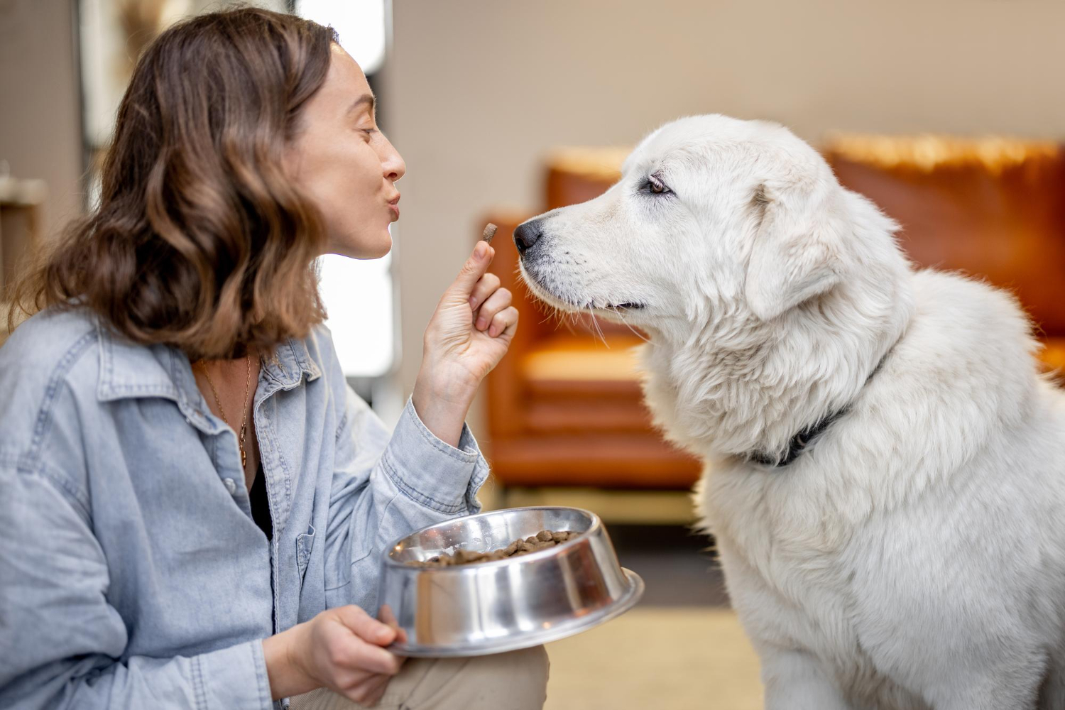 Not using good enough treats