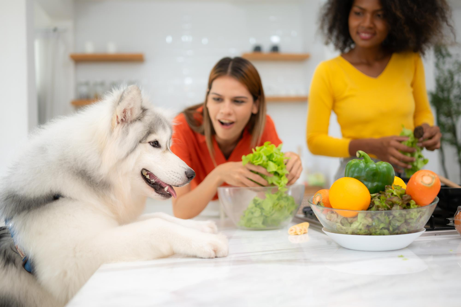 Nutritional and Dietary Advice