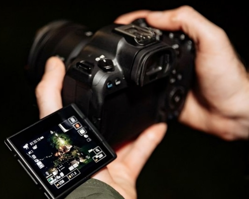 Top 5 Cameras for Amazing Night Photography
