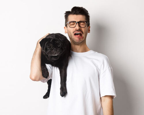 Training Your Dog 13 Mistakes You Must Avoid